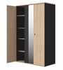 Armoire-3-portes-1-miroir-Duplex-decor-chataignier-naturel-noir-G72180-130cm-open01-Gautier