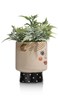 Pot-De-Fleurs-Ashley-Beige-Noir-13cm-47516-MCL-04-Coco-Maison