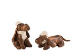 Cale-Porte-Chien-Set-De-2-18205-Cuir-Marron-Beige-01-Jolipa