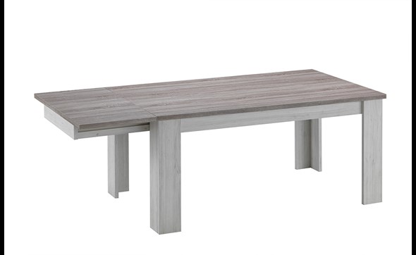 Eline-dinig-table-DS025-Oosterlynck