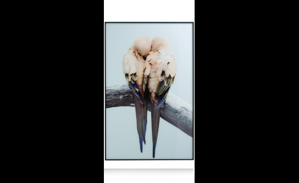 Peinture-tableau-Lovebirds-44257-MCL-01-Coco-Maison