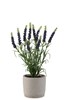 Plante-artificielle-2571-mauve-fonce-Jolipa