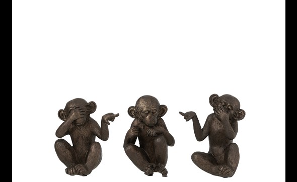 Set-3-singes-11620