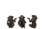 Set-3-singes-11620