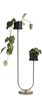 Standard-plante-Loui-41889-GOU-02-Coco-Maison