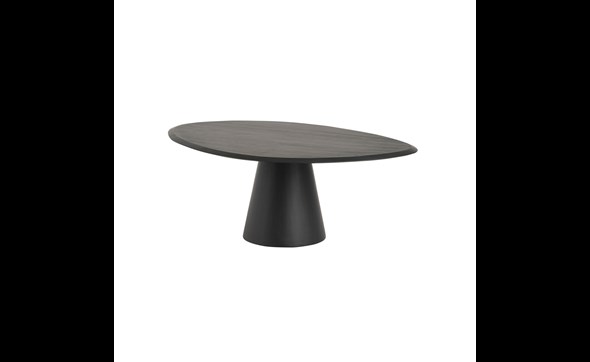 Table-de-salon-Flare-bois-manguier-black-120-FFU.CT.2021-01-Nijwie