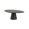 Table-de-salon-Flare-bois-manguier-black-120-FFU.CT.2021-01-Nijwie